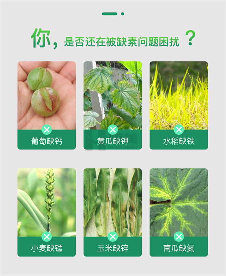 高智能土壤養(yǎng)分檢測(cè)儀怎么選？